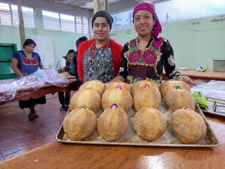 WhatsApp Image 2024-10-28 at 4.30.30 PM (2)